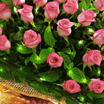 Вітаємо іменинників у січні з Днем народження!