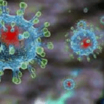 Алгоритм дій у випадку COVID-19