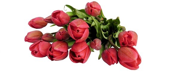 Вітаємо іменинників квітня!