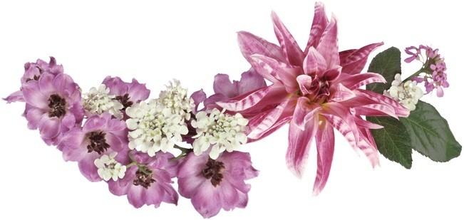 Вітаємо іменинників квітня!