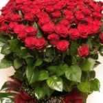 Вітаємо іменинників  червня!