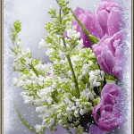 Вітаємо іменинників червня