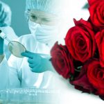 З Днем медичного працівника 21