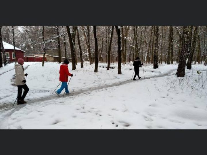 photo_5474611237175279081_y