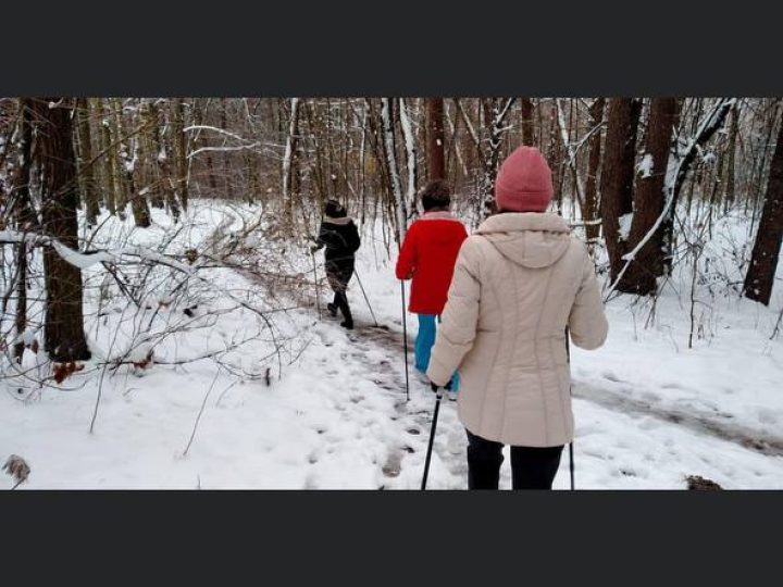 photo_5474611237175279082_y