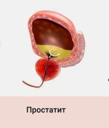 photo_5188324793286509485_y