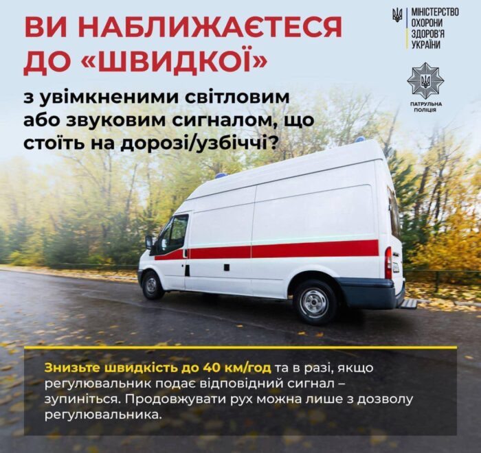 photo_5345874462970595393_y