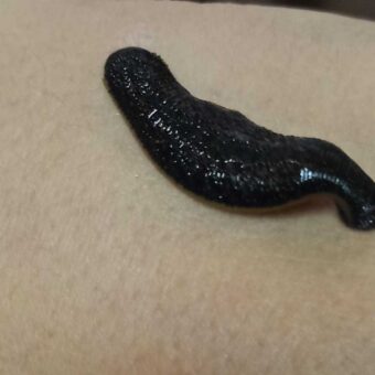 37cbacbf-d280-4c78-9473-d6c313eec6c6